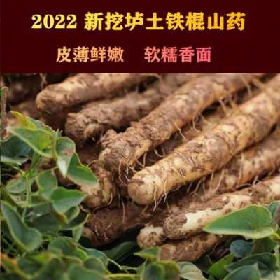 河南山药哪里的最好(河南山药哪里的最好吃)-第2张图片-厨房小当家 河南山药哪里的最好(河南山药哪里的最好吃)-第2张图片-厨房小当家