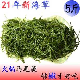 海藻哪里有买,吃的海藻在哪里买的到-第2张图片-厨房小当家 海藻哪里有买,吃的海藻在哪里买的到-第2张图片-厨房小当家