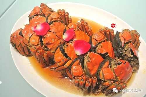 上海哪里醉蟹最好吃(上海哪家醉蟹好吃)-第3张图片-厨房小当家 上海哪里醉蟹最好吃(上海哪家醉蟹好吃)-第3张图片-厨房小当家