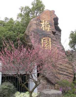 无锡梅园公园门票多少,梅花饼是哪里的特产-第3张图片-厨房小当家 无锡梅园公园门票多少,梅花饼是哪里的特产-第3张图片-厨房小当家