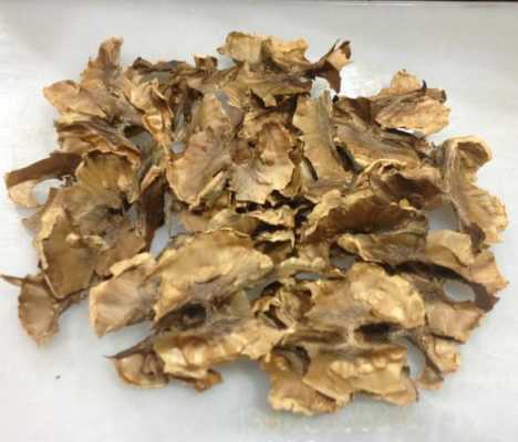 分心木在什么地方买,核桃分心木在哪里能买到-第2张图片-厨房小当家 分心木在什么地方买,核桃分心木在哪里能买到-第2张图片-厨房小当家