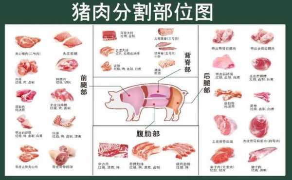 猪肉哪里的肉最有营养(猪肉哪个部位最营养)-第2张图片-厨房小当家 猪肉哪里的肉最有营养(猪肉哪个部位最营养)-第2张图片-厨房小当家