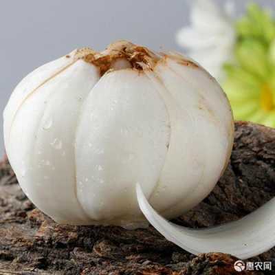 兰州百合哪里好,新鲜百合哪里的好吃-第3张图片-厨房小当家 兰州百合哪里好,新鲜百合哪里的好吃-第3张图片-厨房小当家