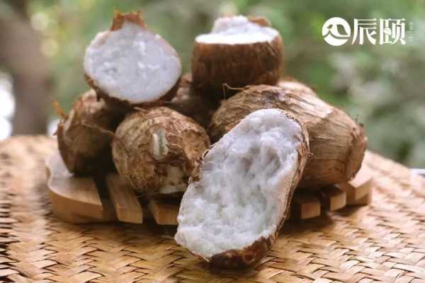 小芋头哪里产的最有名(芋头产地哪的最好)-第3张图片-厨房小当家 小芋头哪里产的最有名(芋头产地哪的最好)-第3张图片-厨房小当家