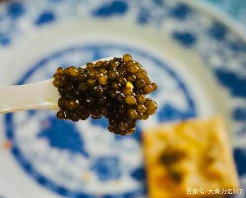 广州哪里可以吃鱼子酱（卡贝露是什么档次）-第2张图片-厨房小当家