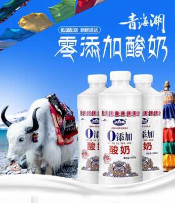 去青海湖旅游的攻略,青海湖酸奶怎么样加盟的-第2张图片-厨房小当家 去青海湖旅游的攻略,青海湖酸奶怎么样加盟的-第2张图片-厨房小当家