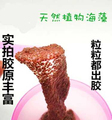 哪里有海藻泥卖,吃的海藻哪里有卖的啊-第3张图片-厨房小当家 哪里有海藻泥卖,吃的海藻哪里有卖的啊-第3张图片-厨房小当家