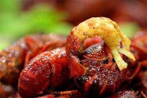 小龙虾上哪吃,小龙虾哪个地方可以吃-第3张图片-厨房小当家 小龙虾上哪吃,小龙虾哪个地方可以吃-第3张图片-厨房小当家