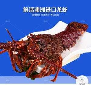 哪里有卖冷冻大龙虾的（澳龙直接冷冻还是冷藏）-第1张图片-厨房小当家