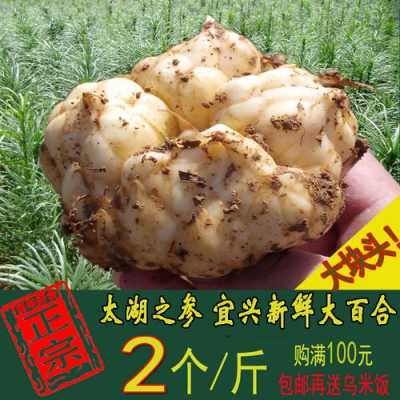 在哪里可以买到鲜百合(哪里能买到正宗的宜兴百合)-第3张图片-厨房小当家 在哪里可以买到鲜百合(哪里能买到正宗的宜兴百合)-第3张图片-厨房小当家