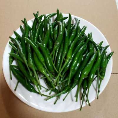 四川的辣椒哪里的最好,四川哪里的辣椒最好吃又便宜-第3张图片-厨房小当家 四川的辣椒哪里的最好,四川哪里的辣椒最好吃又便宜-第3张图片-厨房小当家