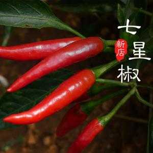 四川的辣椒哪里的最好,四川哪里的辣椒最好吃又便宜-第1张图片-厨房小当家 四川的辣椒哪里的最好,四川哪里的辣椒最好吃又便宜-第1张图片-厨房小当家