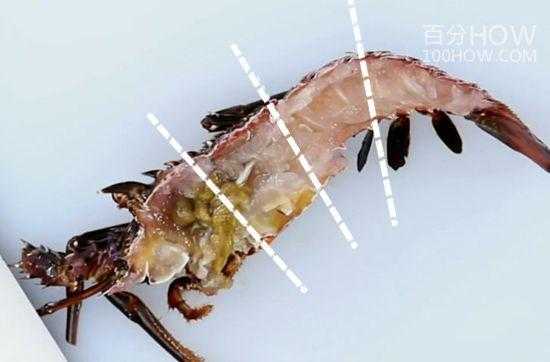 波士顿龙虾胃囊在哪里(看波士顿龙虾)-第3张图片-厨房小当家 波士顿龙虾胃囊在哪里(看波士顿龙虾)-第3张图片-厨房小当家