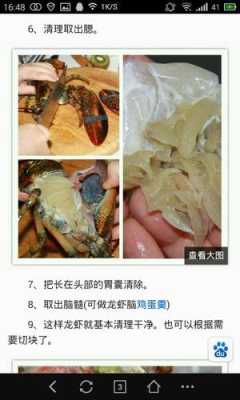 波士顿龙虾胃囊在哪里(看波士顿龙虾)-第1张图片-厨房小当家 波士顿龙虾胃囊在哪里(看波士顿龙虾)-第1张图片-厨房小当家