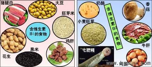 维生素b1从哪里补充（维生素B1B2B6B12怎么补充有哪些食物）-第1张图片-厨房小当家