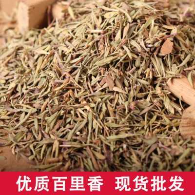 百里香调料哪里有卖(百里香调料哪里有卖的)-第3张图片-厨房小当家 百里香调料哪里有卖(百里香调料哪里有卖的)-第3张图片-厨房小当家