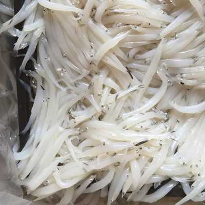 哪里卖银鱼(哪里买银鱼)-第2张图片-厨房小当家 哪里卖银鱼(哪里买银鱼)-第2张图片-厨房小当家