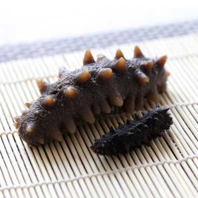 大连哪里产海参(大连哪里产海参最好)-第2张图片-厨房小当家 大连哪里产海参(大连哪里产海参最好)-第2张图片-厨房小当家
