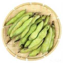 什么品种蚕豆最好吃,哪里的蚕豆好吃又便宜-第2张图片-厨房小当家 什么品种蚕豆最好吃,哪里的蚕豆好吃又便宜-第2张图片-厨房小当家