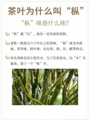 因味茶里面工作怎么样(单丛为什么一股茉莉花味)-第3张图片-厨房小当家 因味茶里面工作怎么样(单丛为什么一股茉莉花味)-第3张图片-厨房小当家