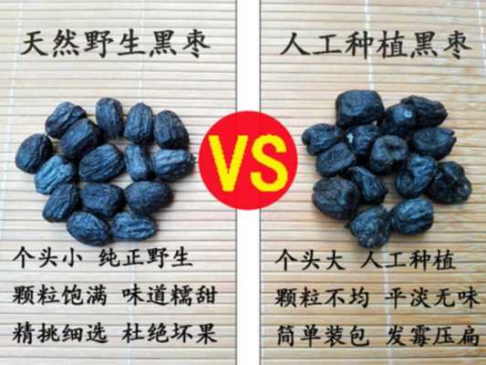 河北哪里产黑枣(蓝枣产地是哪里)-第1张图片-厨房小当家 河北哪里产黑枣(蓝枣产地是哪里)-第1张图片-厨房小当家