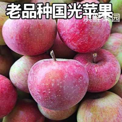 哪里国光苹果多（哪里国光苹果好吃）-第1张图片-厨房小当家