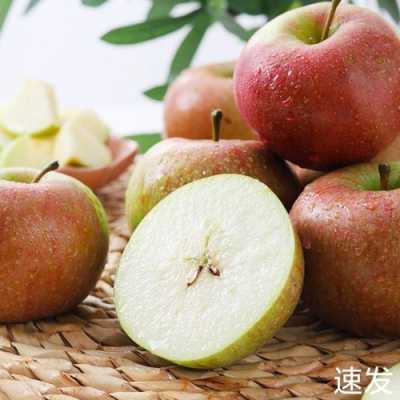 哪里国光苹果多（哪里国光苹果好吃）-第3张图片-厨房小当家