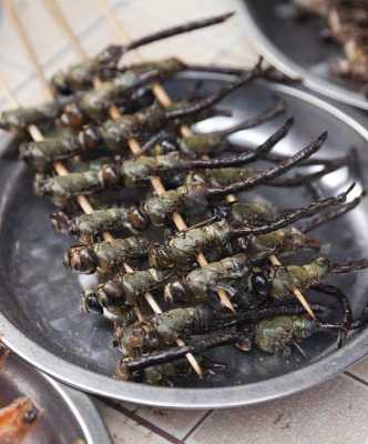 哪里有虫子美食(哪里有虫子啊)-第1张图片-厨房小当家 哪里有虫子美食(哪里有虫子啊)-第1张图片-厨房小当家