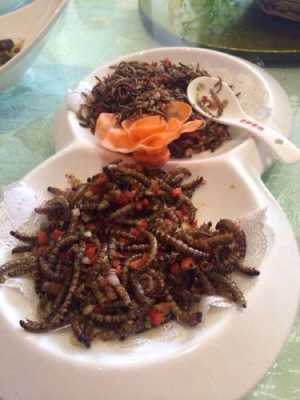 哪里有虫子美食(哪里有虫子啊)-第3张图片-厨房小当家 哪里有虫子美食(哪里有虫子啊)-第3张图片-厨房小当家