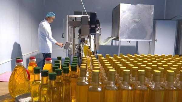 河南哪里有油茶(河南哪里有油茶加工厂)-第2张图片-厨房小当家 河南哪里有油茶(河南哪里有油茶加工厂)-第2张图片-厨房小当家