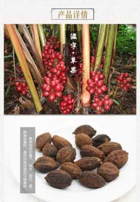 草果哪里的最好(草果哪里的最好吃又便宜)-第2张图片-厨房小当家 草果哪里的最好(草果哪里的最好吃又便宜)-第2张图片-厨房小当家
