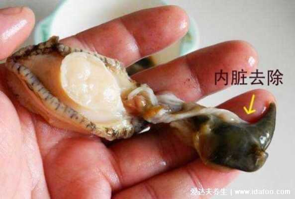 鲍鱼内脏是哪里(鲍鱼内脏是哪里的肉)-第2张图片-厨房小当家 鲍鱼内脏是哪里(鲍鱼内脏是哪里的肉)-第2张图片-厨房小当家