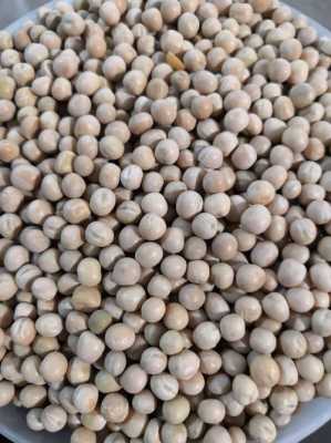 干豌豆哪里有卖（干豌豆哪里有卖的啊）-第1张图片-厨房小当家