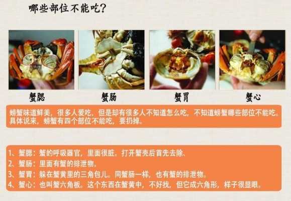 吃大闸蟹哪里不能吃(梭子蟹哪些部位不能吃)-第1张图片-厨房小当家 吃大闸蟹哪里不能吃(梭子蟹哪些部位不能吃)-第1张图片-厨房小当家
