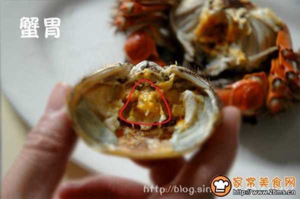 吃大闸蟹哪里不能吃(梭子蟹哪些部位不能吃)-第3张图片-厨房小当家 吃大闸蟹哪里不能吃(梭子蟹哪些部位不能吃)-第3张图片-厨房小当家