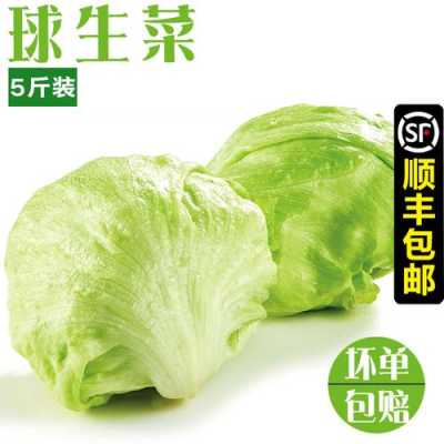 圆生菜在哪里买到(圆生菜在哪里买到正宗)-第2张图片-厨房小当家 圆生菜在哪里买到(圆生菜在哪里买到正宗)-第2张图片-厨房小当家