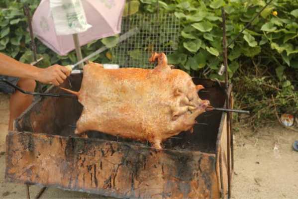 巴马哪里香猪好吃(烤香猪最出名的地方)-第3张图片-厨房小当家 巴马哪里香猪好吃(烤香猪最出名的地方)-第3张图片-厨房小当家
