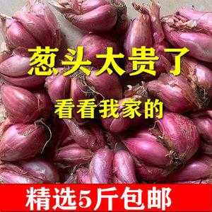哪里的红葱头最好(哪里的红葱头最好吃最正宗)-第2张图片-厨房小当家 哪里的红葱头最好(哪里的红葱头最好吃最正宗)-第2张图片-厨房小当家