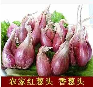 哪里的红葱头最好(哪里的红葱头最好吃最正宗)-第3张图片-厨房小当家 哪里的红葱头最好(哪里的红葱头最好吃最正宗)-第3张图片-厨房小当家