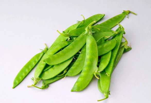 荷兰豆哪里出产(荷兰豆哪里出产的最好)-第3张图片-厨房小当家 荷兰豆哪里出产(荷兰豆哪里出产的最好)-第3张图片-厨房小当家