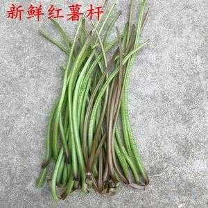 红薯杆哪里有卖（红薯杆子怎么保存才能永远新鲜）-第3张图片-厨房小当家