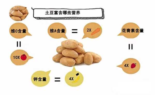 土豆的营养在哪里（以土豆作为主食的原因）-第2张图片-厨房小当家