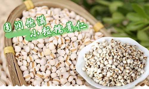 薏仁米哪里的好(哪里薏米仁最好)-第1张图片-厨房小当家 薏仁米哪里的好(哪里薏米仁最好)-第1张图片-厨房小当家