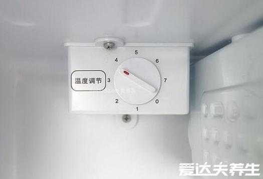 冰箱的冷冻在哪里(冰箱的冷冻在哪里调)-第3张图片-厨房小当家 冰箱的冷冻在哪里(冰箱的冷冻在哪里调)-第3张图片-厨房小当家