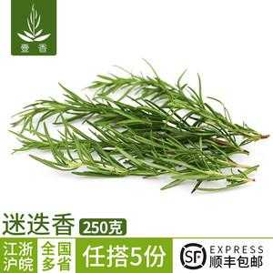鲜迷迭香哪里能买到（请问北京哪里可以买到迷迭香）-第2张图片-厨房小当家