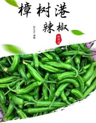 樟树港辣椒别称,樟树港辣椒哪里正宗好吃-第2张图片-厨房小当家 樟树港辣椒别称,樟树港辣椒哪里正宗好吃-第2张图片-厨房小当家