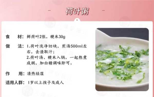 哪里有荷叶买来煮粥(哪里有荷叶买来煮粥的)-第2张图片-厨房小当家 哪里有荷叶买来煮粥(哪里有荷叶买来煮粥的)-第2张图片-厨房小当家