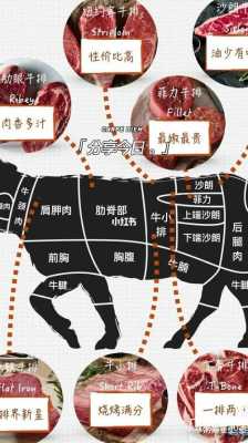 做牛排选哪个部位的肉,牛排要哪里的肉好-第1张图片-厨房小当家 做牛排选哪个部位的肉,牛排要哪里的肉好-第1张图片-厨房小当家