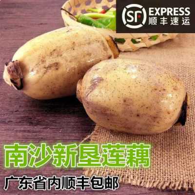 南沙莲藕哪里最好吃,莲藕哪里的最好吃最出名-第3张图片-厨房小当家 南沙莲藕哪里最好吃,莲藕哪里的最好吃最出名-第3张图片-厨房小当家