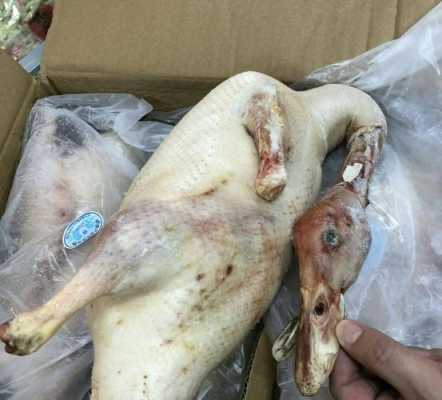 哪里能买到鸭油(哪里能买到鸭油呢)-第2张图片-厨房小当家 哪里能买到鸭油(哪里能买到鸭油呢)-第2张图片-厨房小当家